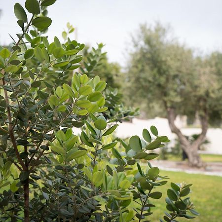 B&B La Manica Milazzo Dış mekan fotoğraf
